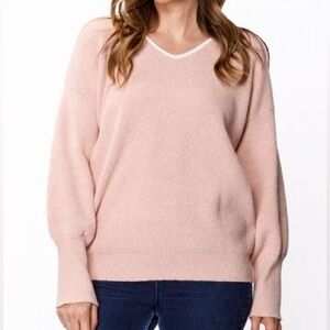 Preppy Pink V Neck Sweater S/M NWT